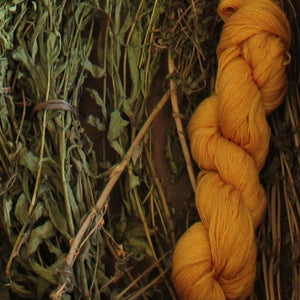 Guatemalan Living Threads Co artisan handmade blanket natural dye source